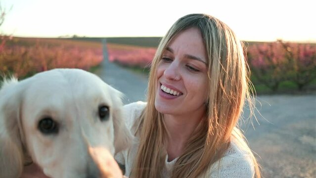 Video of beautiful woman stroking and pampering her lovely golden retriever dog sitting on the floor in a cherry field in springtime. 