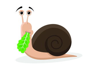 snail eating lettuce, cartoon like, vector illustration 