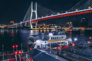 Shanghai Nanpu Bridge  Shanghai City Night View