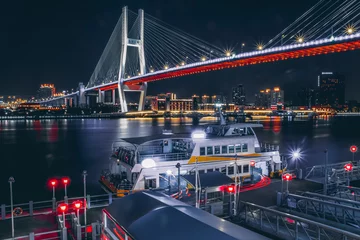 Crédence de cuisine en plexiglas Pont de Nanpu Shanghai Nanpu Bridge Vue de nuit de la ville de Shanghai