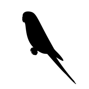 black silhouette parakeet perched on branch clip art preview