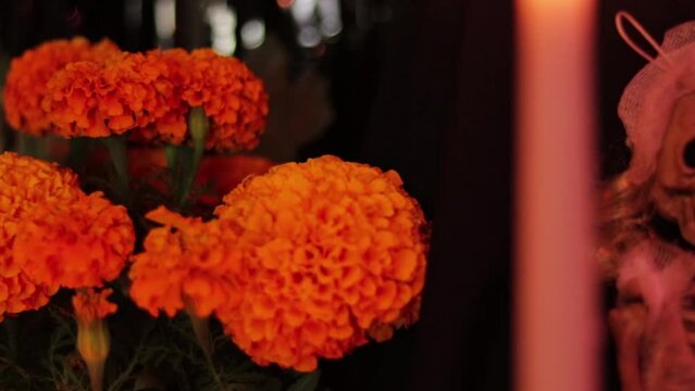 Cempasuchitl orange flowers. Day of the dead marigold flowers. D�a de los muertos. Culture, tradition and mexican ritual. 