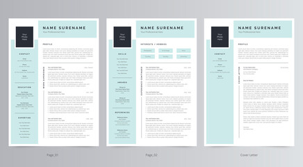 Professional Resume/CV and Cover Letter Template