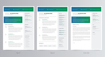 Professional Resume/CV and Cover Letter Template