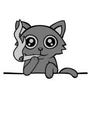 Katze stoned bekifft 
