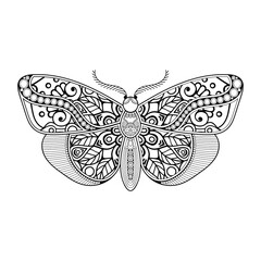 vector butterfly black and white element line art print design