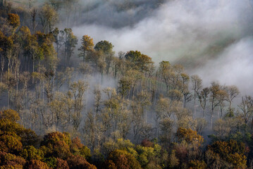 Naklejka na ściany i meble vue aérienne de paysage d'automne dans la brume à Mont-Saint-Père dans l'Aisne