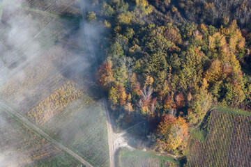 vue aérienne de paysage d'automne dans la brume à Passy-sur-Marne dans l'Aisne