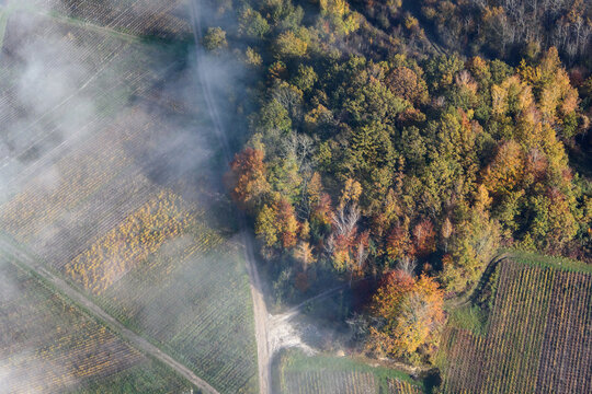 vue aérienne de paysage d'automne dans la brume à Passy-sur-Marne dans l'Aisne