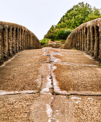 Bridge