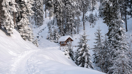 A hiking track in the Carpathians in winter, Romania