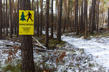 leśne prace przy wycince lasu oznakowanie tabliczką ostrzegawczą - obrazy, fototapety, plakaty