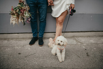 Beautiful couple holding hands and walking with dog.
