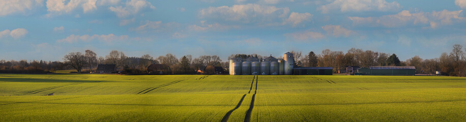 Landscape with a green field and an agricultural silo and a settlement in the background. Panorama...