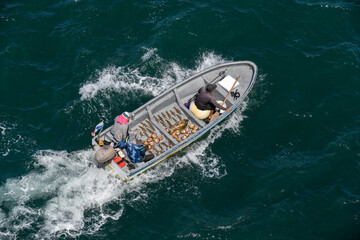 Fototapeta premium Small fishing boat with fishermen sailing at sea. Fish, shells, lobsters in boat. Top view.