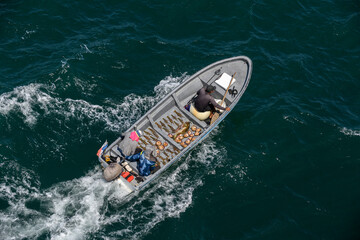 Fototapeta premium Small fishing boat with fishermen sailing at sea. Fish, shells, lobsters in boat. Top view.