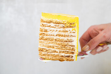 Woman holding honey cake covered with yellow icing. Layered honey cake. Closeup view