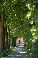 Allee richtung Hof