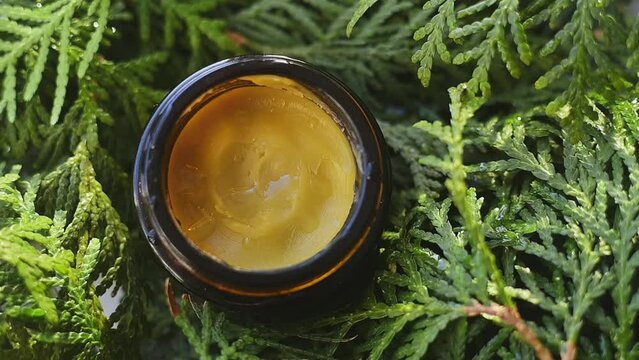 Eco-friendly cosmetic product for skin care of face, body lies in green foliage. Natural cream in glass jar with oils, aloe, vitamins, prebiotics for healthy.Organic eco bio beauty cosmetics. top view