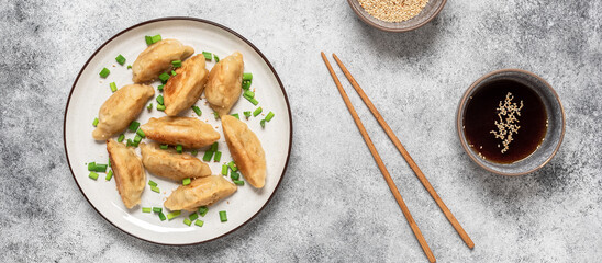 Traditional asian dumplings gyoza with green onion and soy sauce. Gray concrete grunge background. Top view, flat lay, banner.