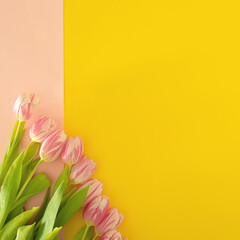 fresh easter pink jungle gardening tulips flat lay on the desk against yellow background with copyspace. spring minimalism