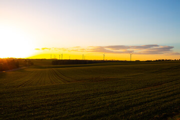 Fototapeta premium Wind turbines in Thuringia at sunrise, Schmölln