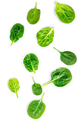 Fresh spinach leaves on white background.