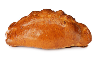 One delicious baked patty on white background