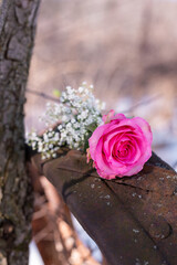Pink Rose on Wagon Wheel