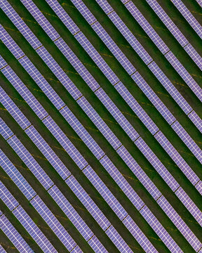 A Vertical Aerial Shot Of Solar Pannels In A Field