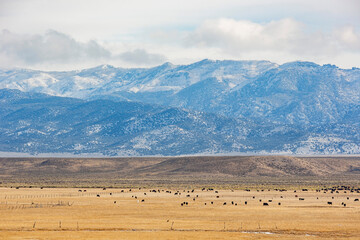 Beautiful country side view near highway 15, Utah