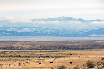 Fototapeta premium Beautiful country side view near highway 15, Utah
