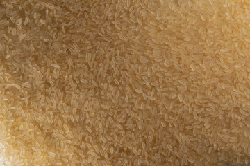 Grains of steamed rice, scattered on the surface. Background of textured grains of steamed rice, texture and pattern of rice grains.