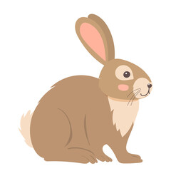 rabbit flat design, on white background isolated