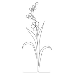plant, flower one line drawing, outline, vector