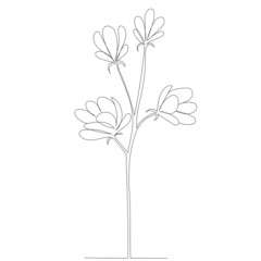 Fototapeta na wymiar plant, flower one line drawing, outline, vector