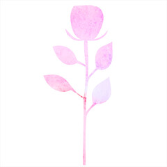 rose watercolor silhouette, isolated vector