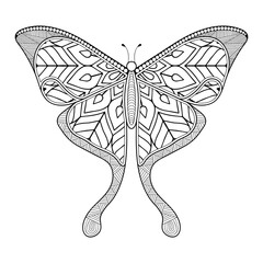 vector butterfly black and white element line art print design 