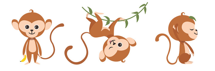 Vector illustration cute and beautiful monkeys on white background. Charming character in different poses with a banana, on a liana and sitting with a leaf on the head in cartoon style.