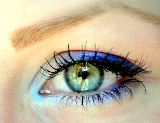 Makekup green eye and natural lashes. 