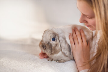 Girl hugs a cute rabbit at home.a girl with a rabbit, bunny pet.
