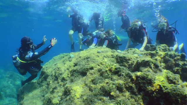Diving: a diving instructor takes a photo of divers during their first dive.