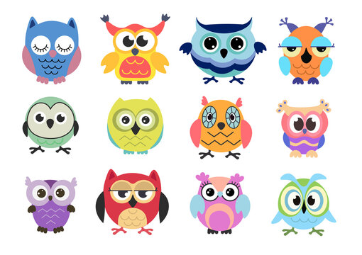 Set of cute colorful owls on white background. Vector illustration beautiful birds of prey with colorful feathers and funny big eyes in flat style.