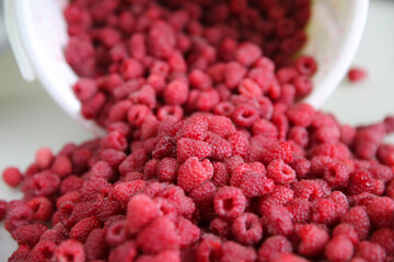 lot of fresh sweet raspberries scattered from a bucket on a white background