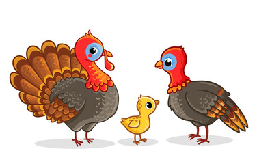Family of turkeys stands. Vector illustration with turkeys in cartoon style. - 487859353