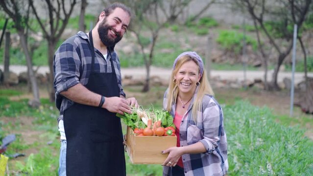 Positive couple of gardeners standing with pile of fresh vegetables in container and laughing while enjoying harvest season together in countryside in summer