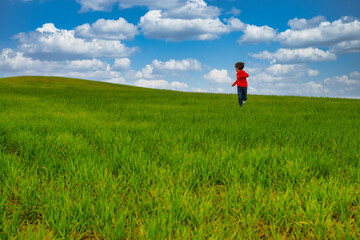 6 Year Old Boy Running Through A Green Meadow With A Spectacular Sky And A Nice Horizon. Image With Copy Space. Freedom Concept