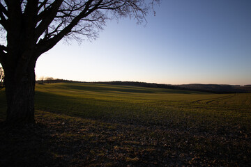 Fototapeta premium Abendstimmung in Neudorf