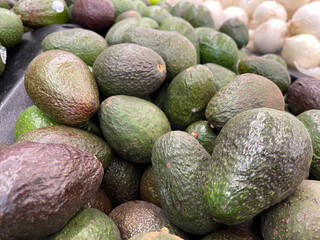 avocados on the shelves at the store