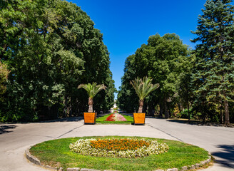 Beautiful shot of a seaside garden in Varna, Bulgaria, with two palm trees outdoors